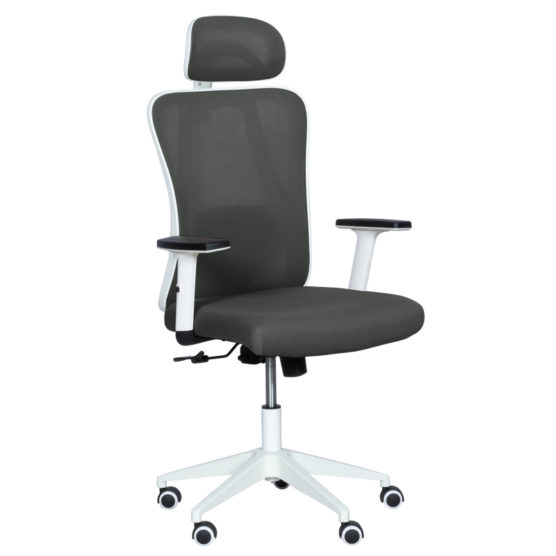 ergonomichen-stol-carmen-7588-grafit Ергономичен стол Carmen 7588 - графит - Image 1