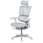 Ергономичен стол ERGOHUMAN IOO ELITE 2 - сива рамка - сив - Image 4