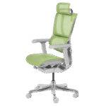 Ергономичен стол ERGOHUMAN IOO ELITE 2 - сива рамка - зелен - Image 4