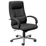 Linea Steel Leather